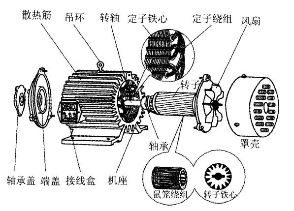 三相異步電機.jpg