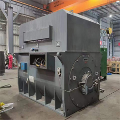 某電廠6800KW萬伏高壓防爆電機(jī)