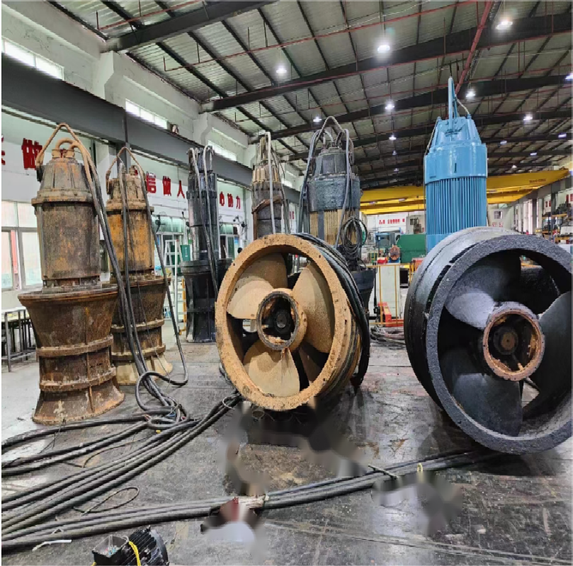 各類進口污水泵維修案例